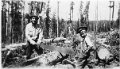 Dad-Grampa cutting wood